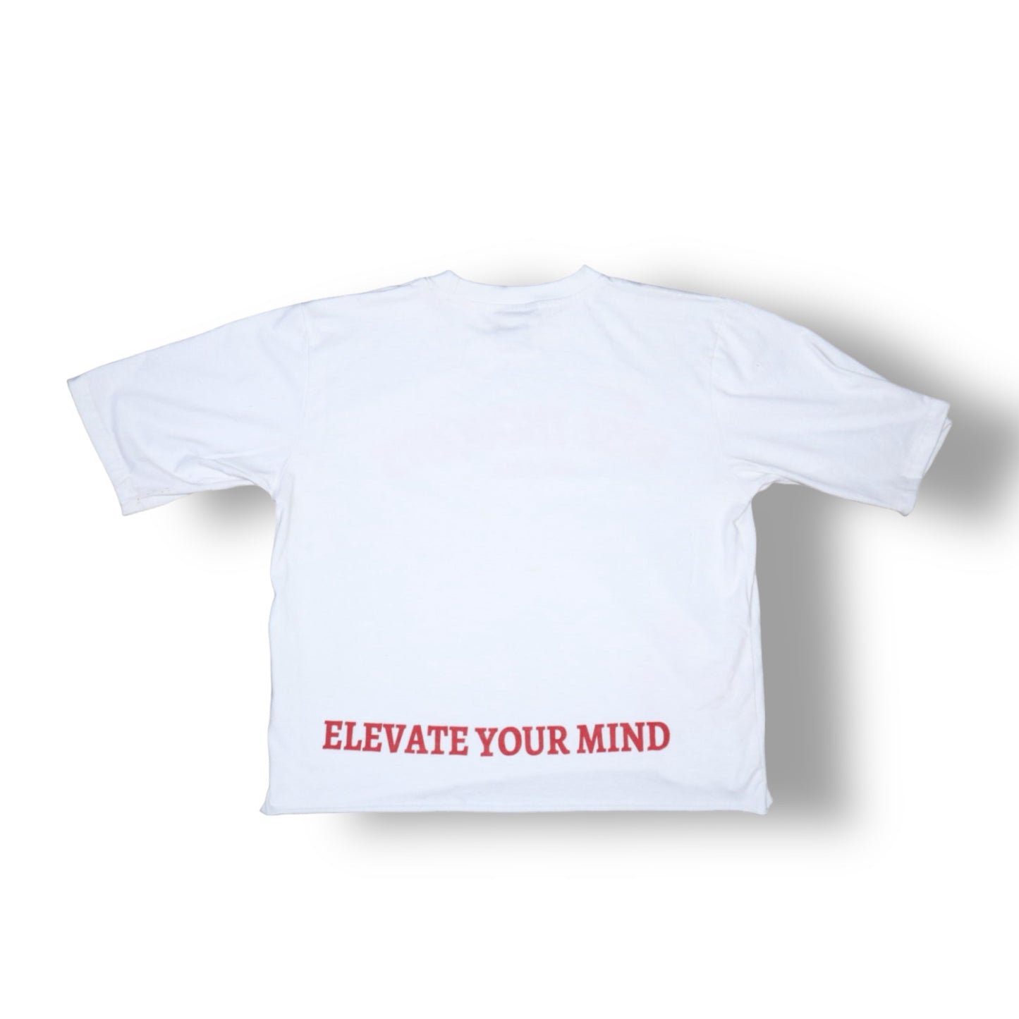 Cherry Ink “Wise Thoughts” Oversized Crop Tee