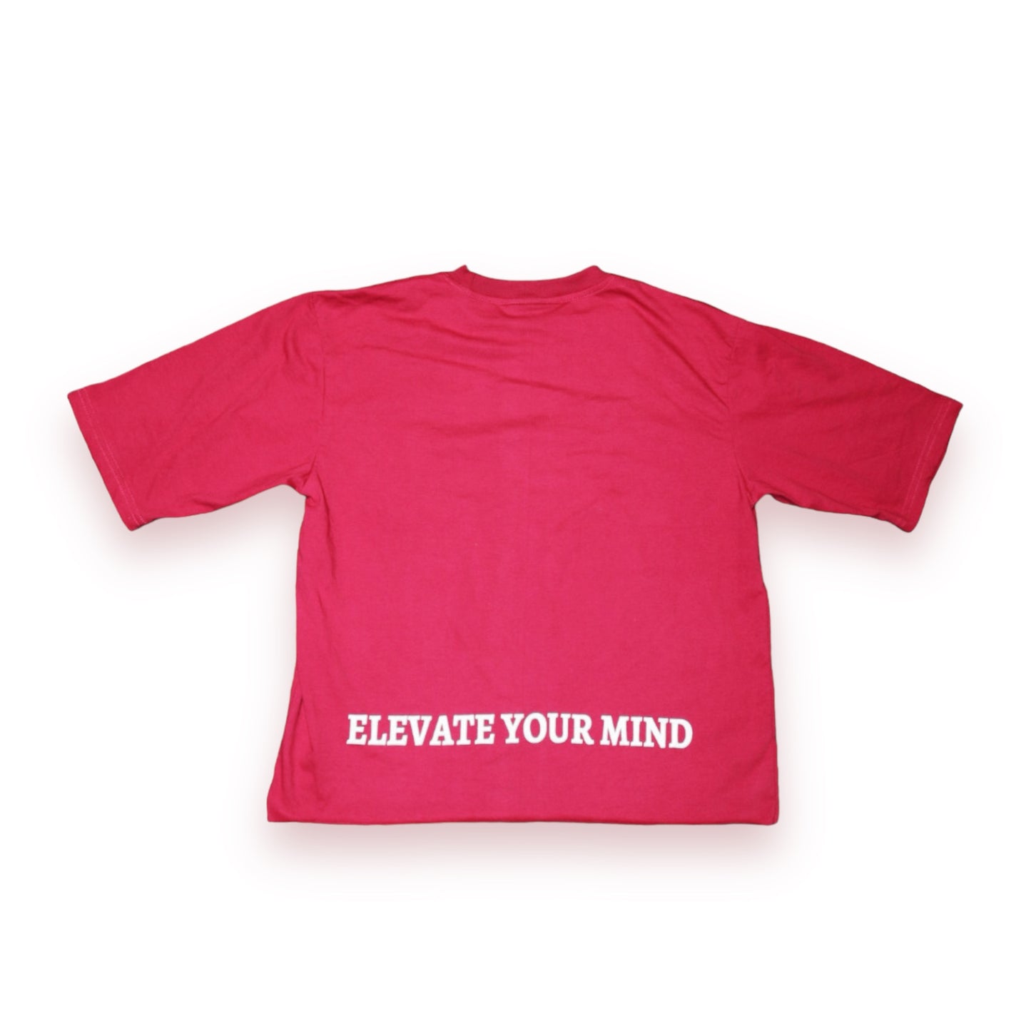 Bubble Gum “Wise Thoughts” Oversized Crop Tee